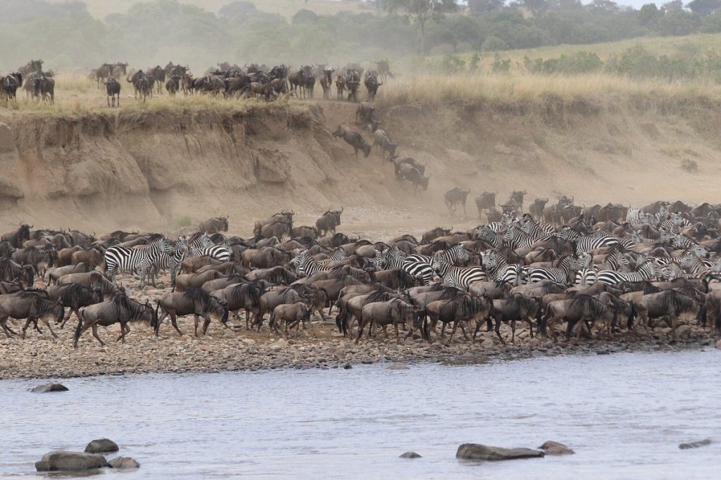 Mara Singita Camp