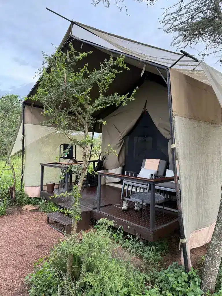 Serengeti Kichakani
