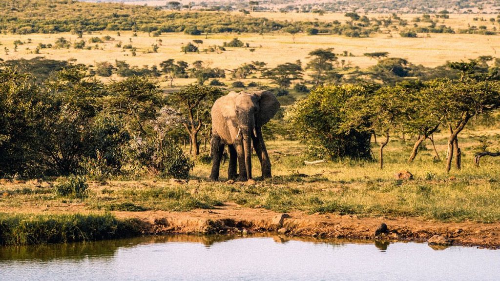 Naboisho Camp