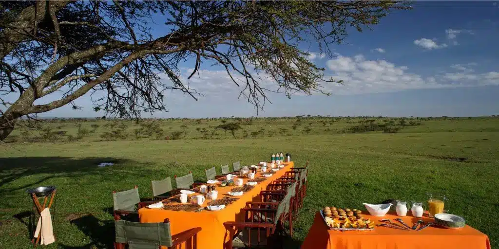 Elephant Pepper Camp