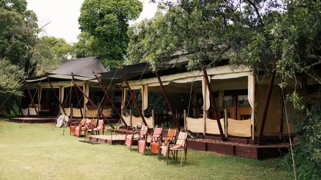 Elephant Pepper Camp