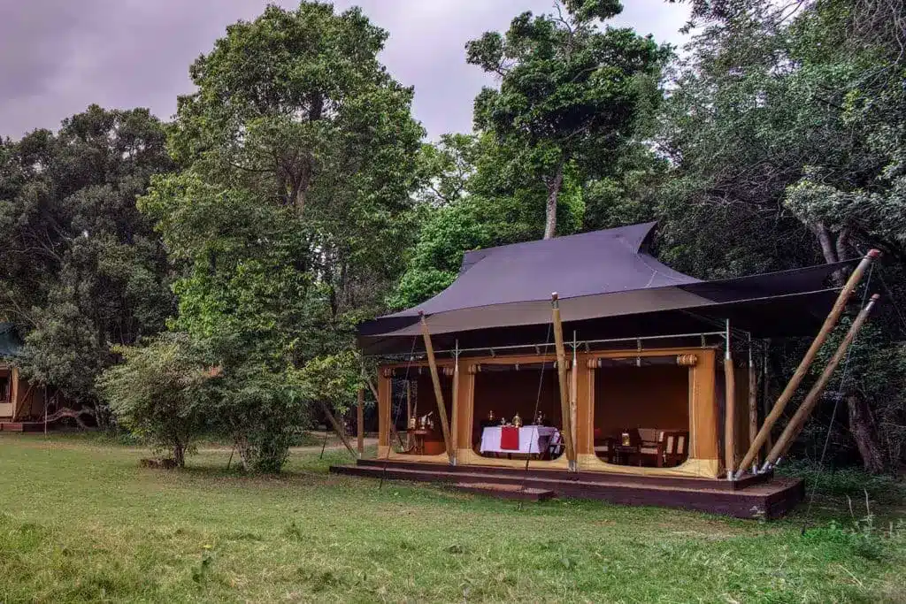 Elephant Pepper Camp