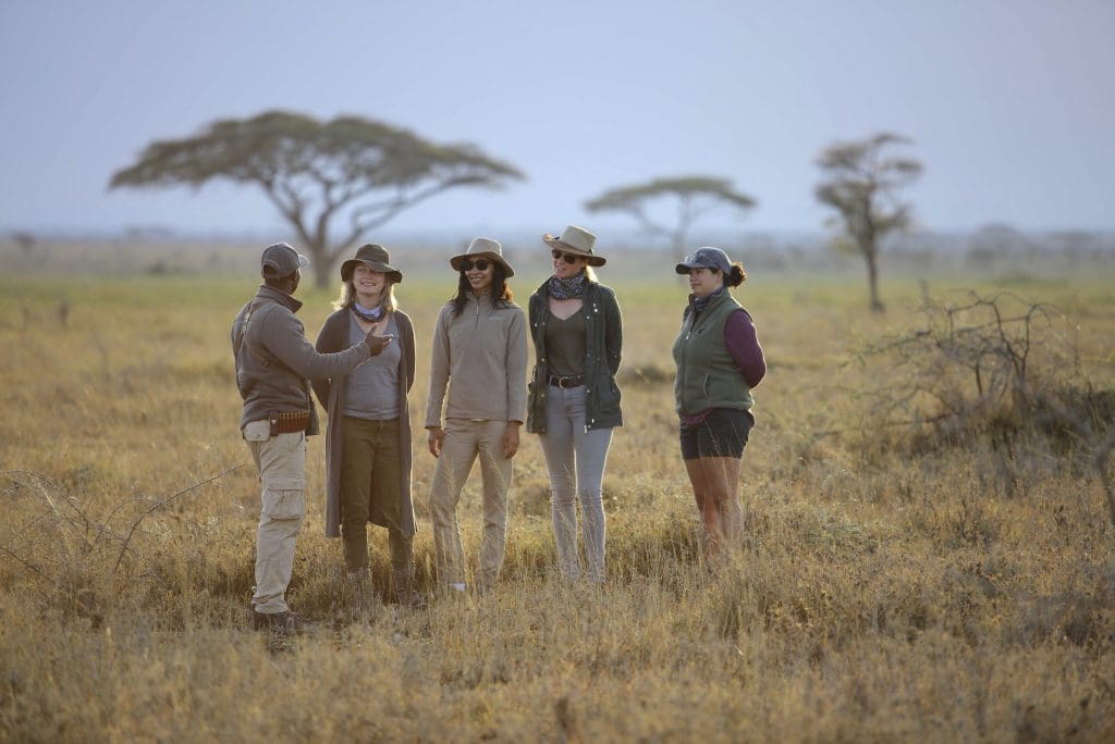 Kimondo Migration Camp Serengeti