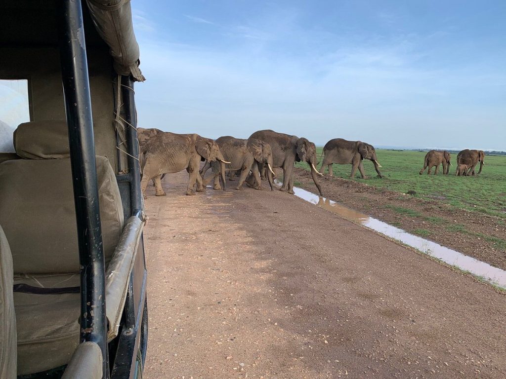 Tortilis Camp Amboseli