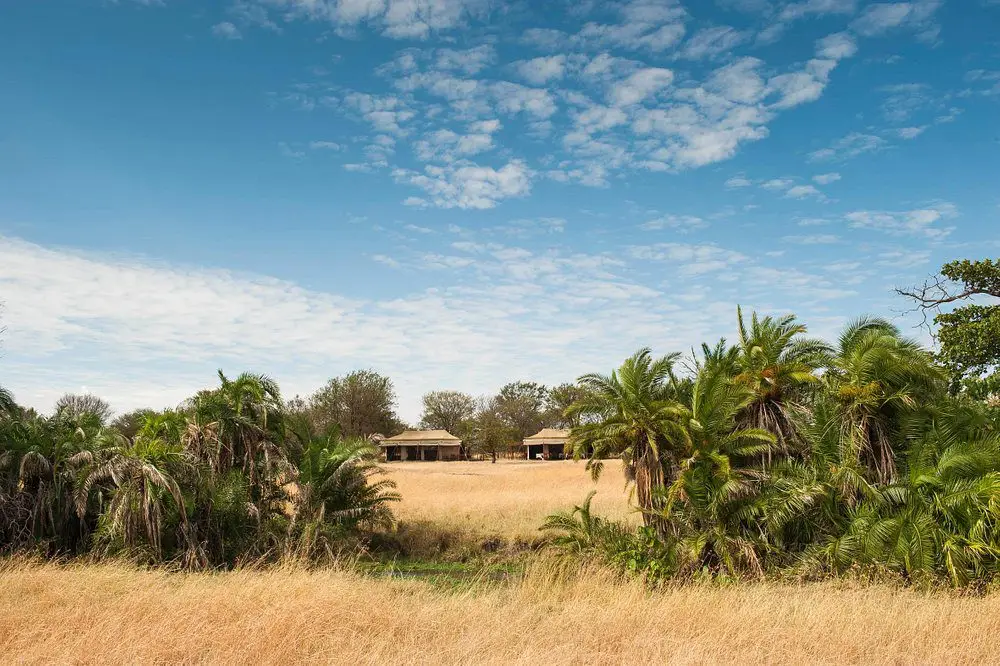 Serengeti Bologonja Camp