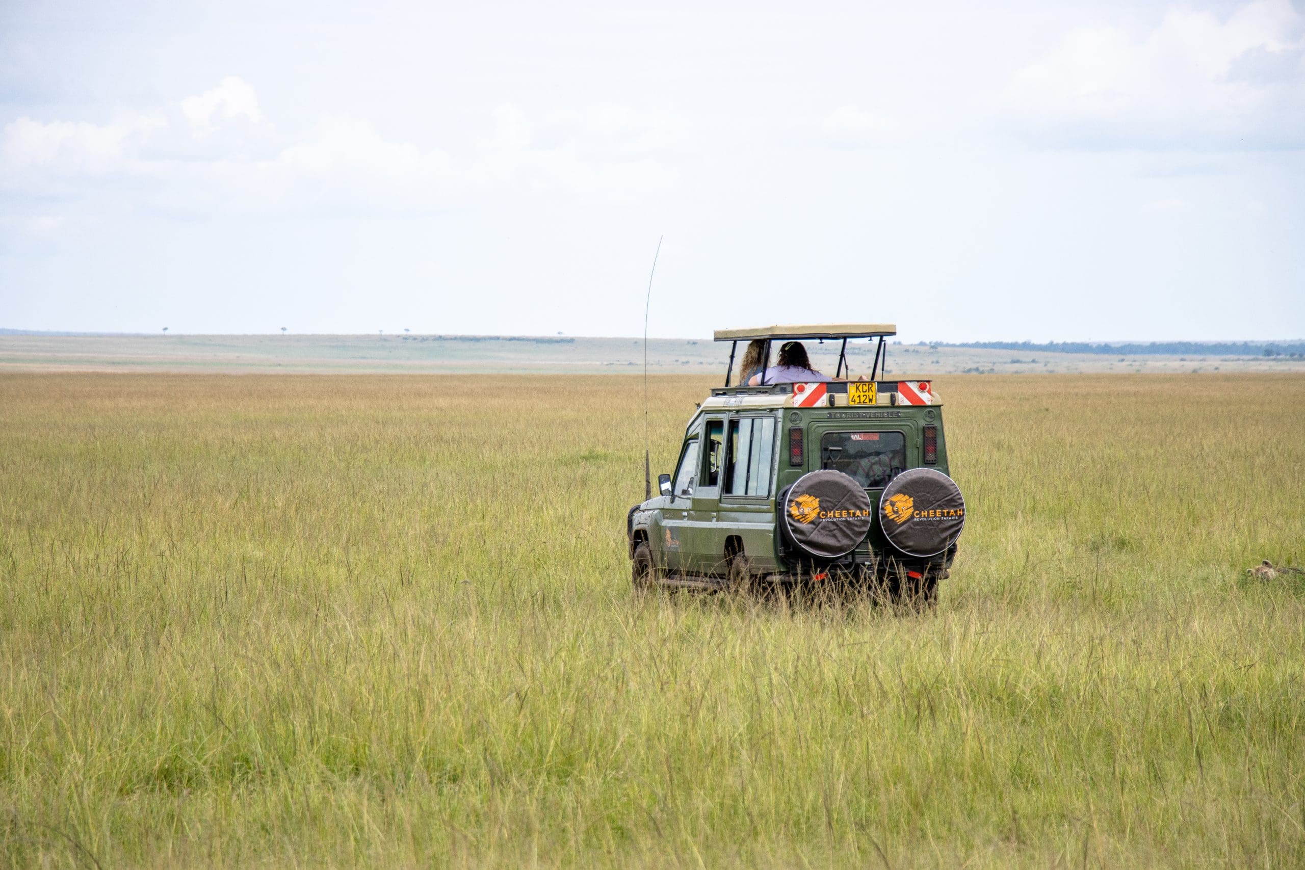 Cheetah Safaris - Luxury African Safaris - African Safari Holidays