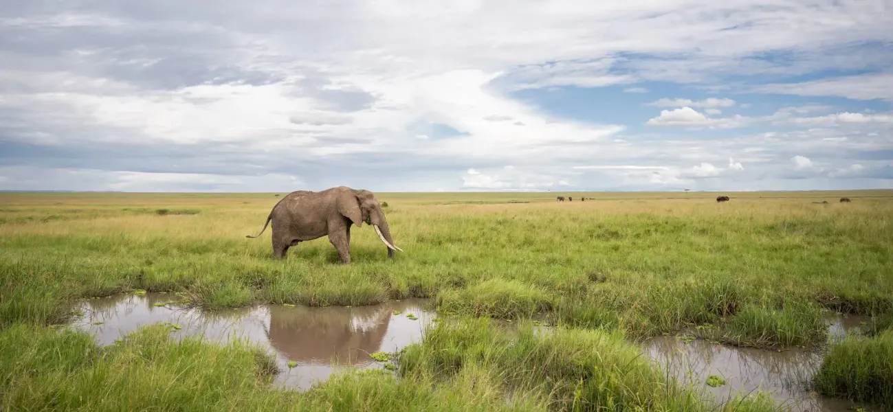 Safaris in April - Where to visit in Africa in April - Cheetah Safaris (2)