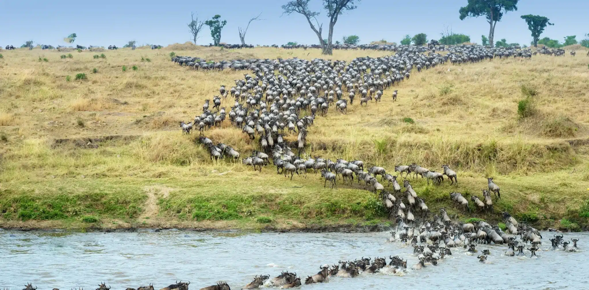 Safaris in July - Where to visit in Africa in July - Cheetah Safaris