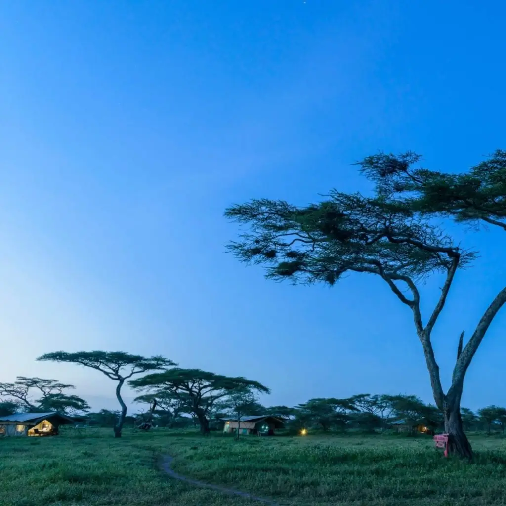 Ndutu Wilderness Camp