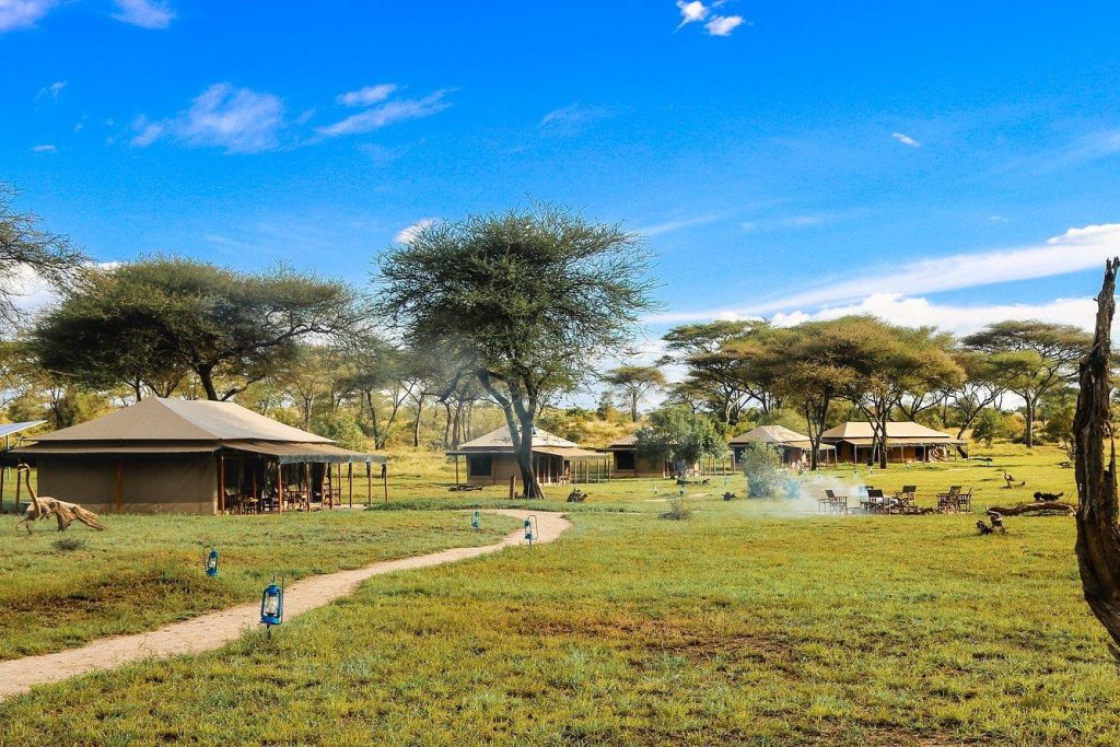 Baobab Central Serengeti Camp