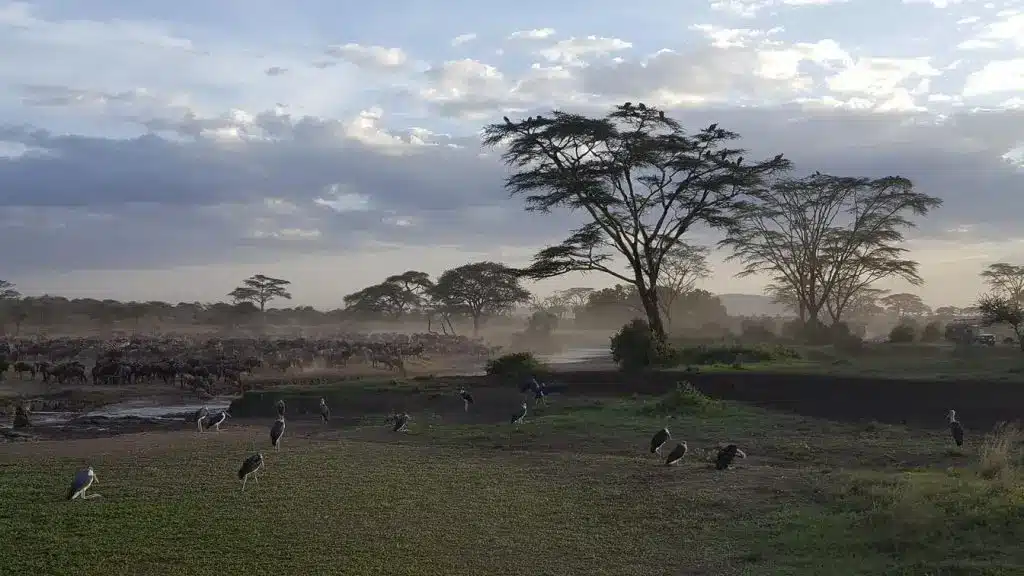 Zawadi Serengeti Camp