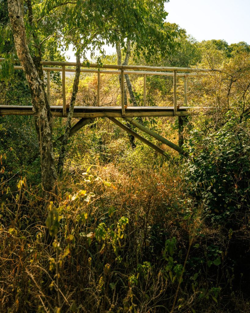 Ishara Mara Camp