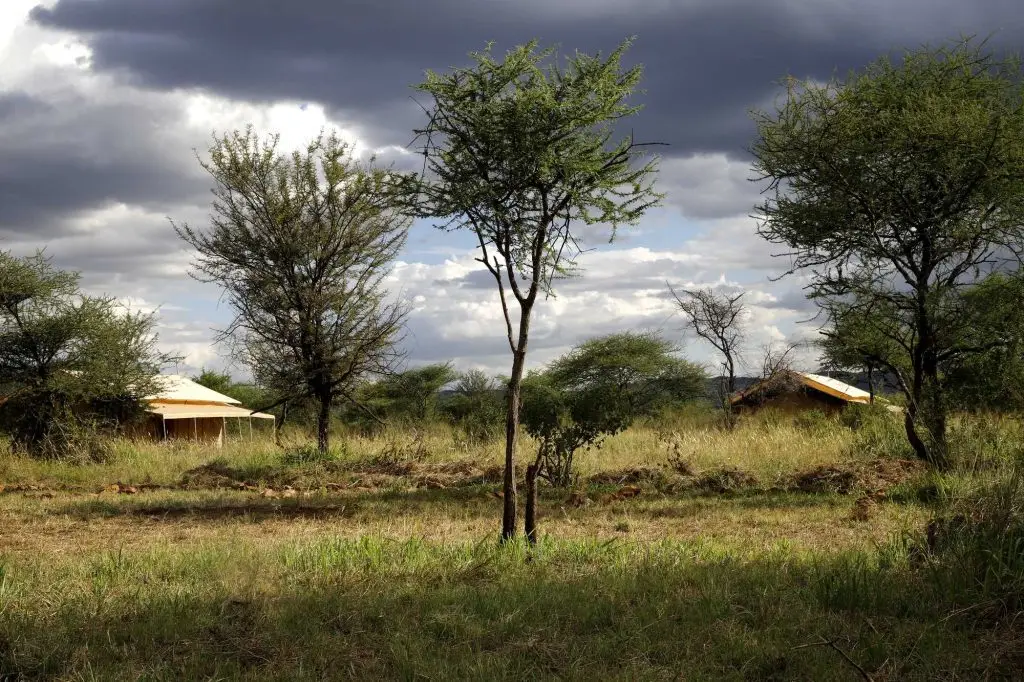 Whisper Tented Lodge