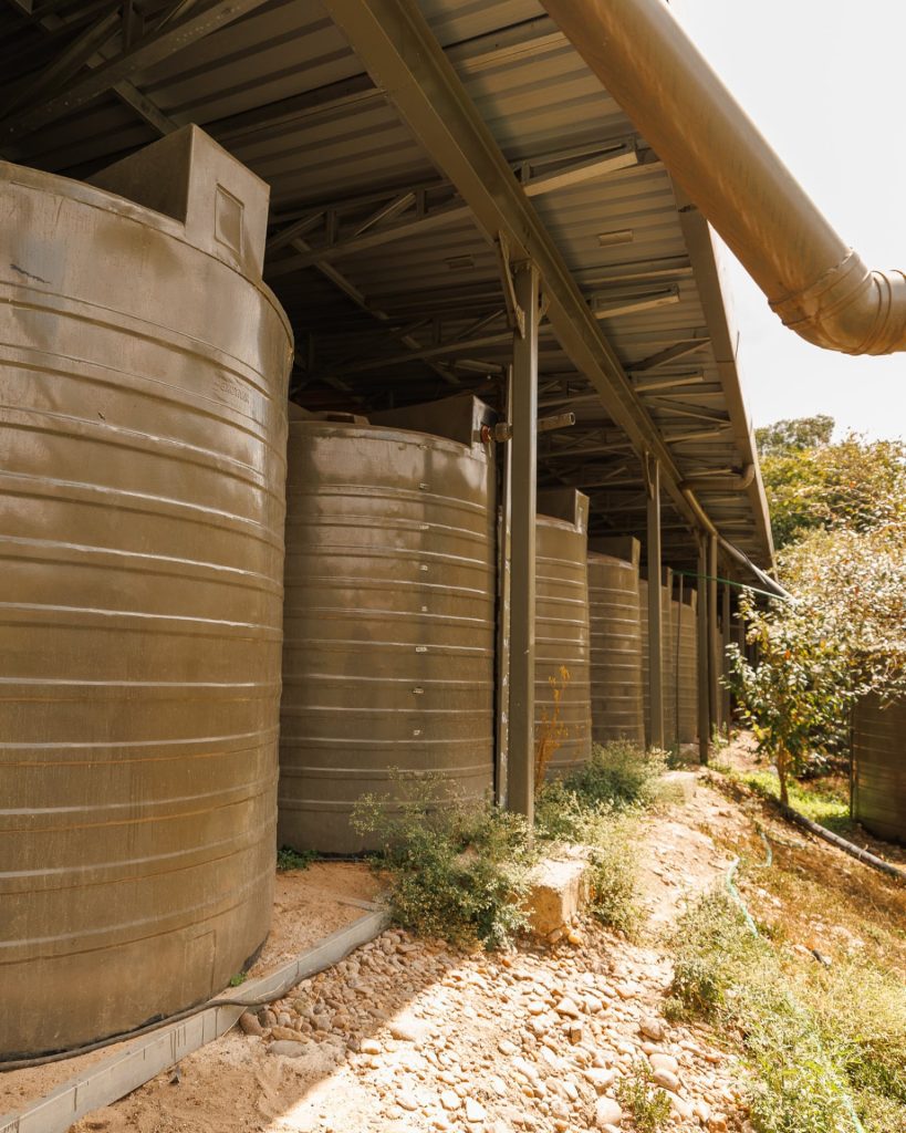 Ishara Mara Camp