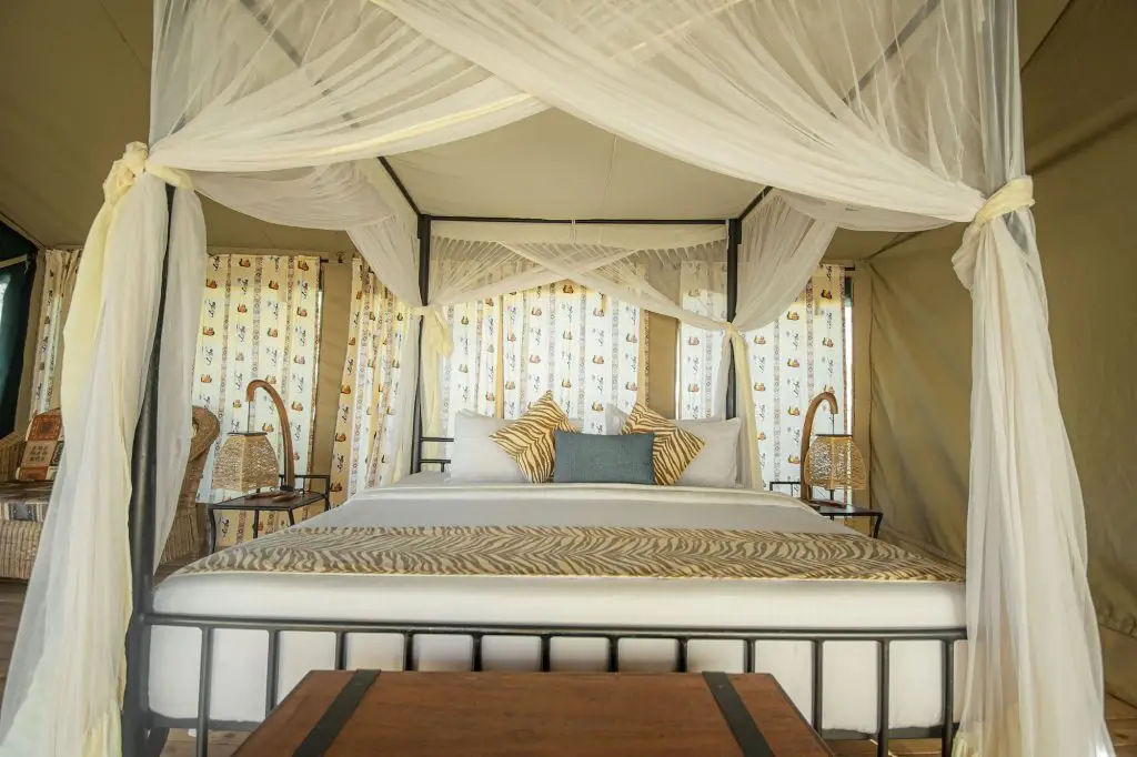 Osinon Camps