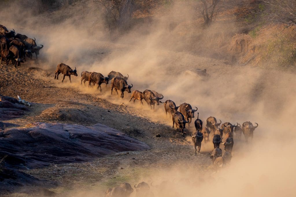 Gonarezhou National Park