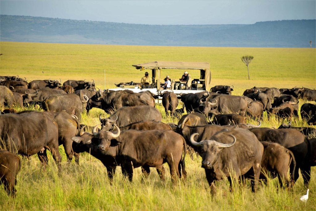 Lalashe Mara Camp