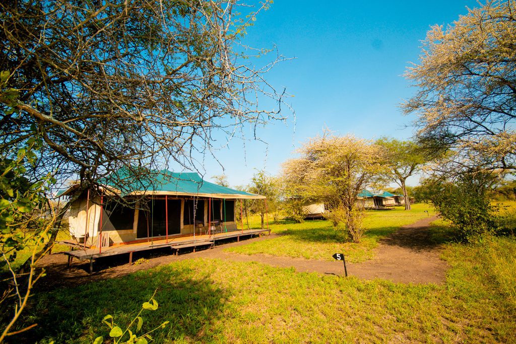Kilima Valley Tented Camp