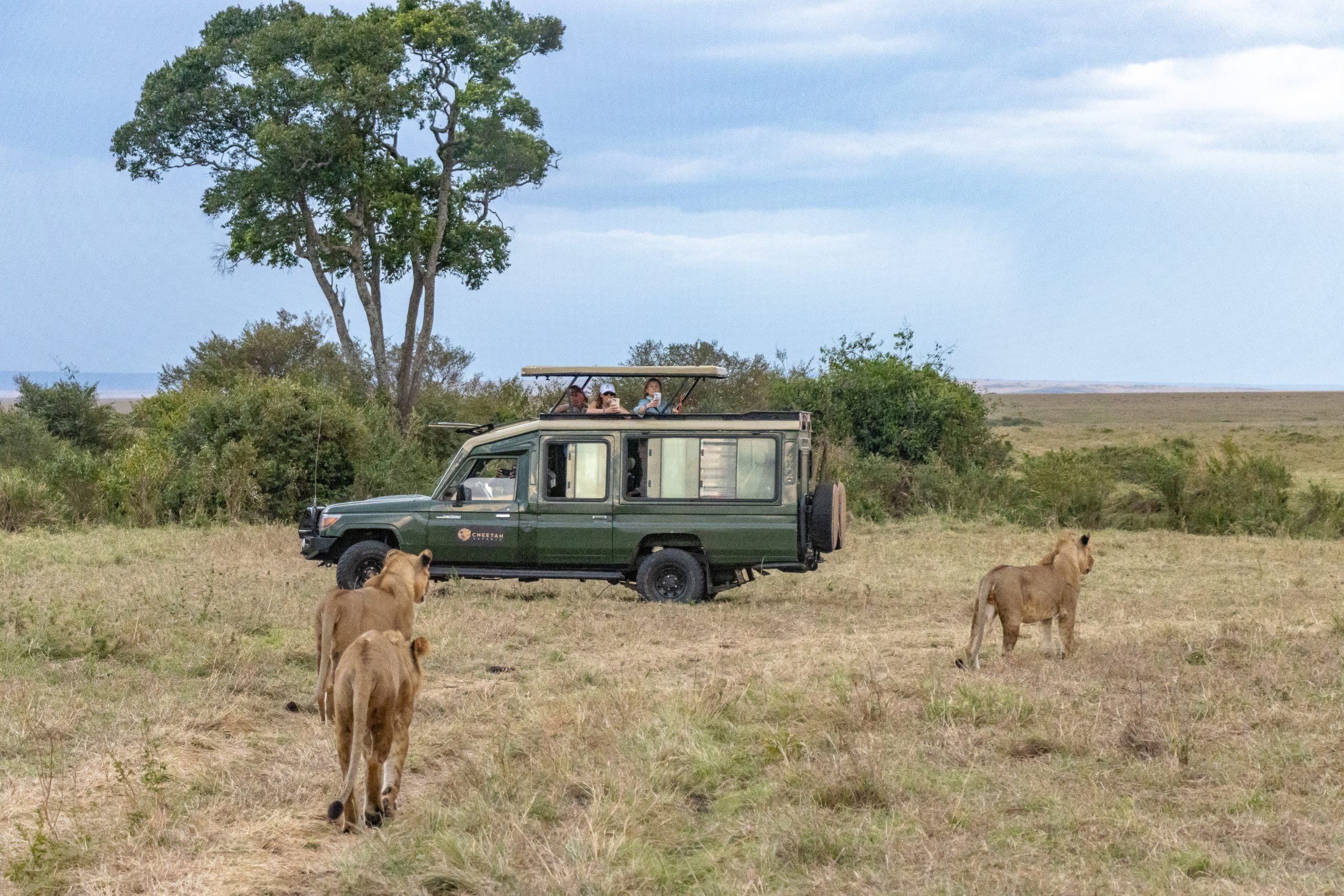 Cheetah Safaris - Luxury African Safaris - Kenya Safaris - African Safari Holidays