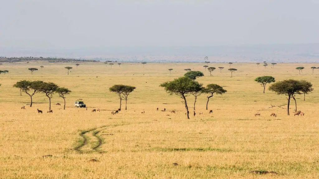 Nyasi Migration Camp