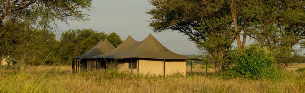 Asilia Ubuntu Migration Camp