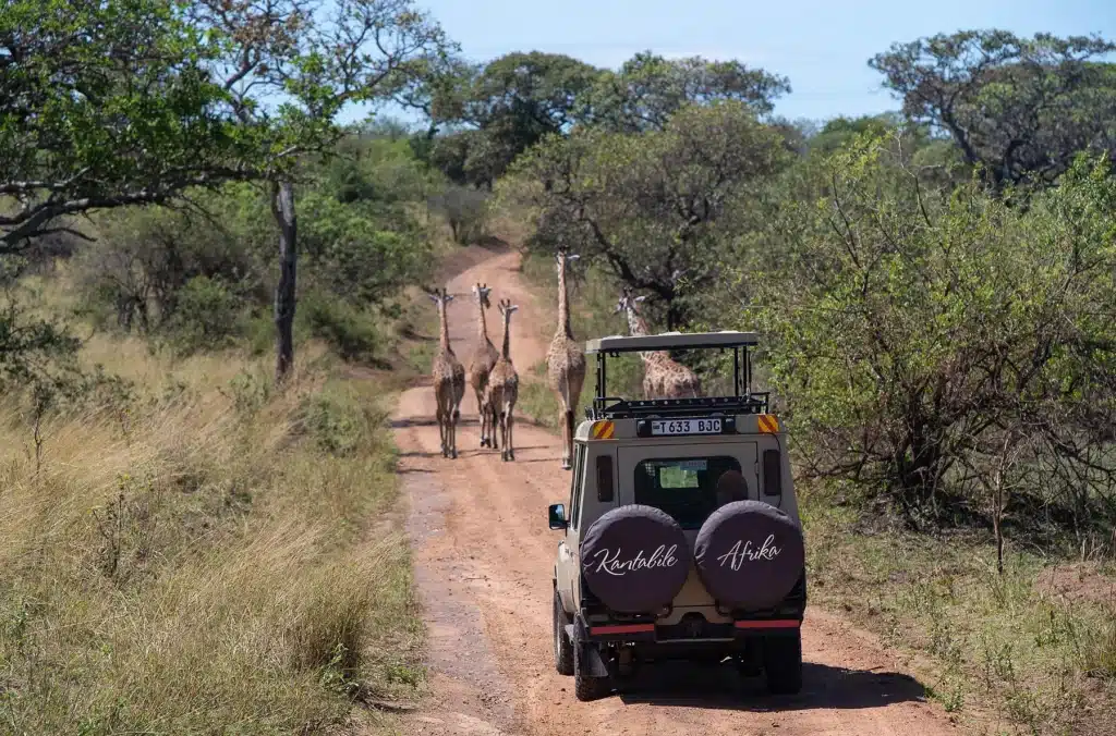 Aurari Camp Serengeti