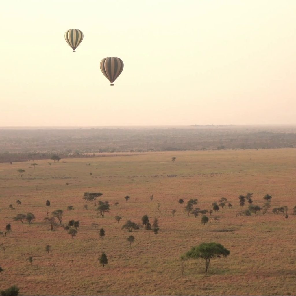 Cherero Camp Serengeti