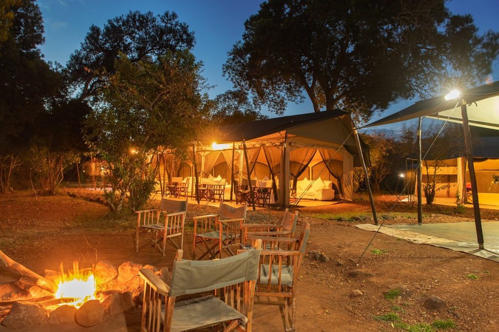 Hammerkop Migration Camp