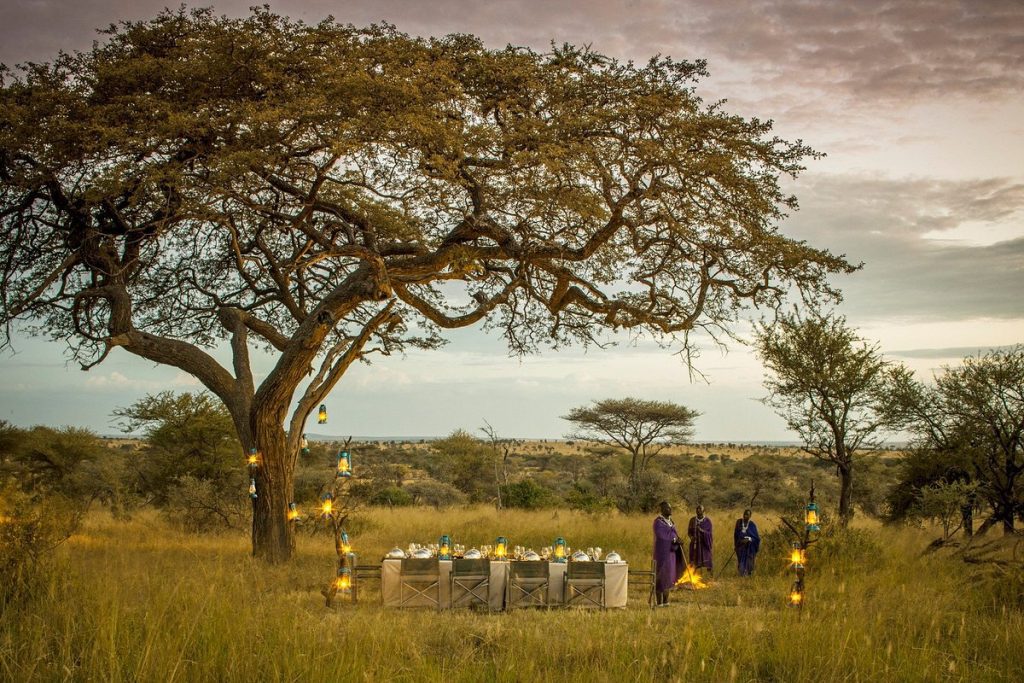 Four Seasons Safari Lodge