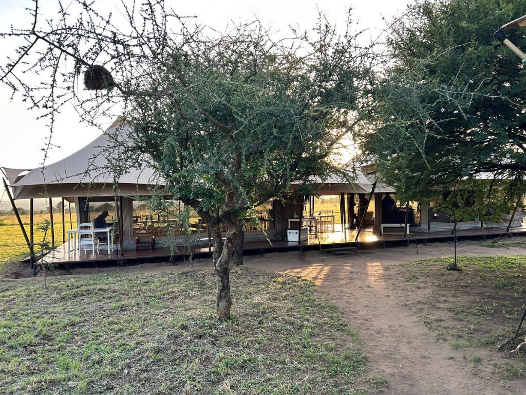 Intimate Camp Seronera