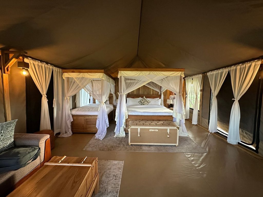 Into Wild Africa Camp