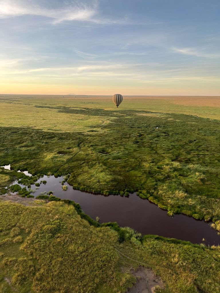 Cherero Camp Serengeti