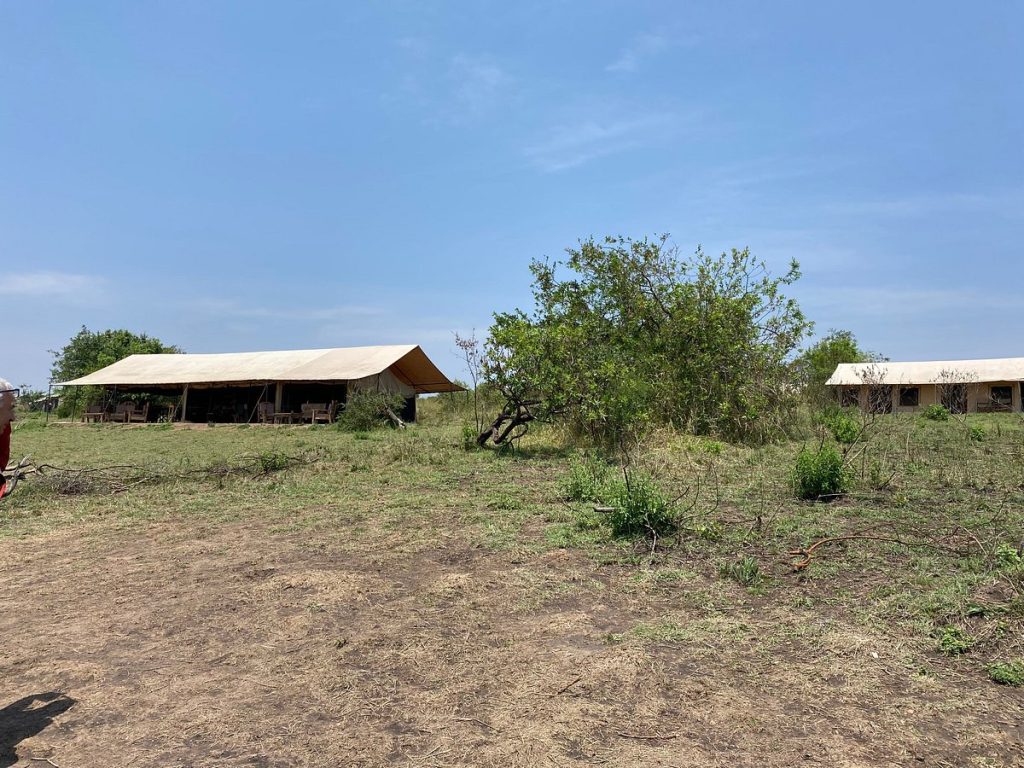Gnu Mara Migration Camp