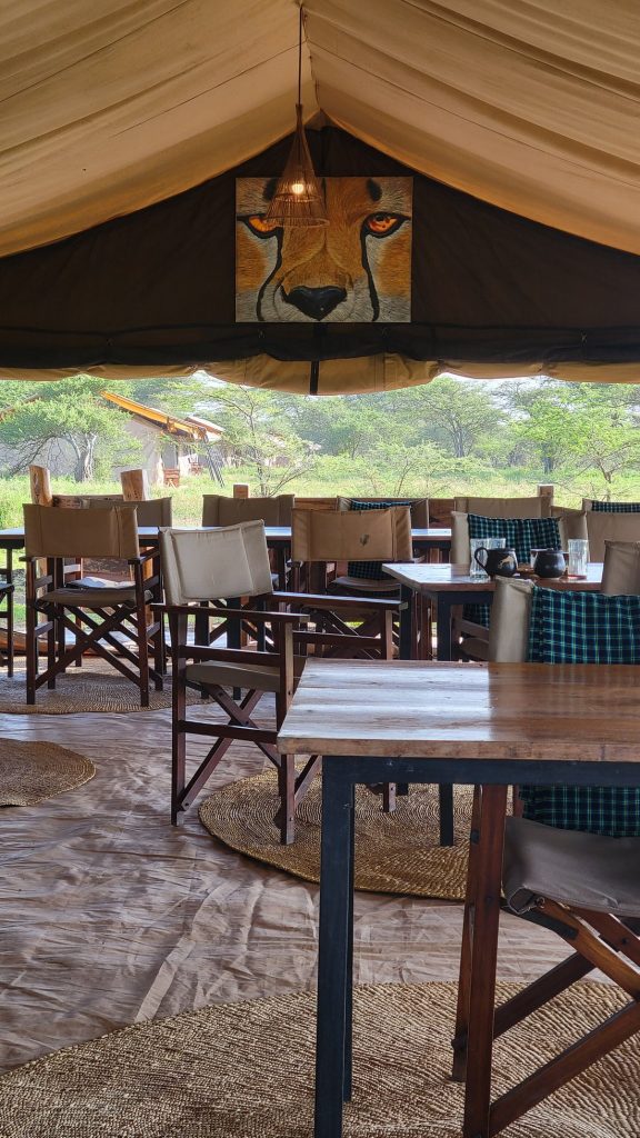Gnu Ndutu Camp