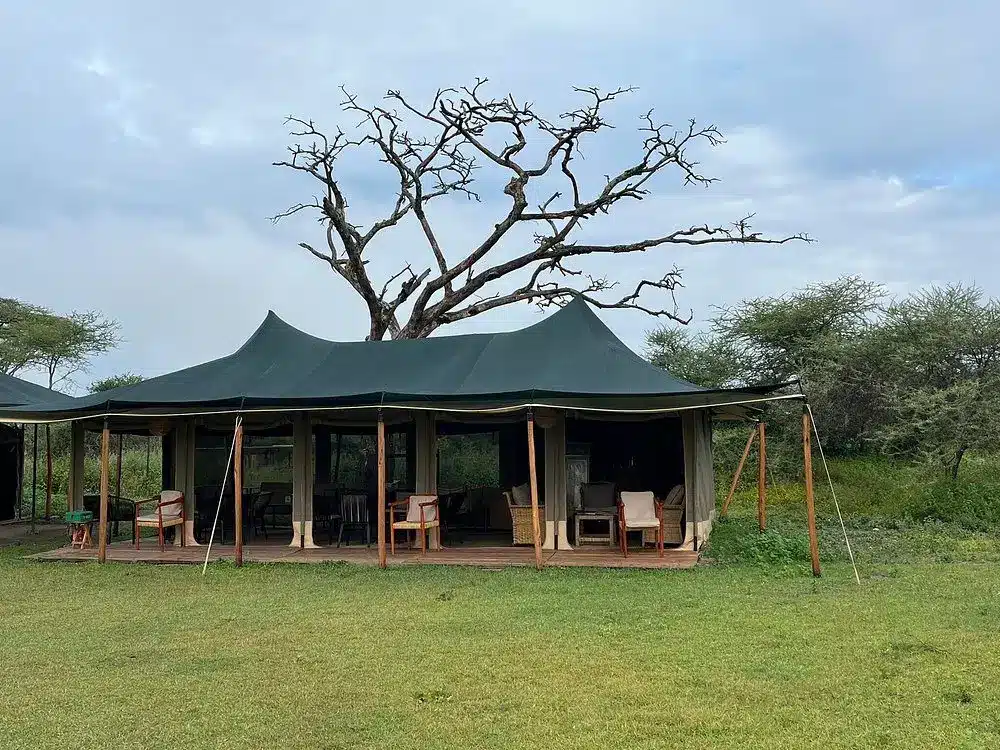 Untamed Migration Camp