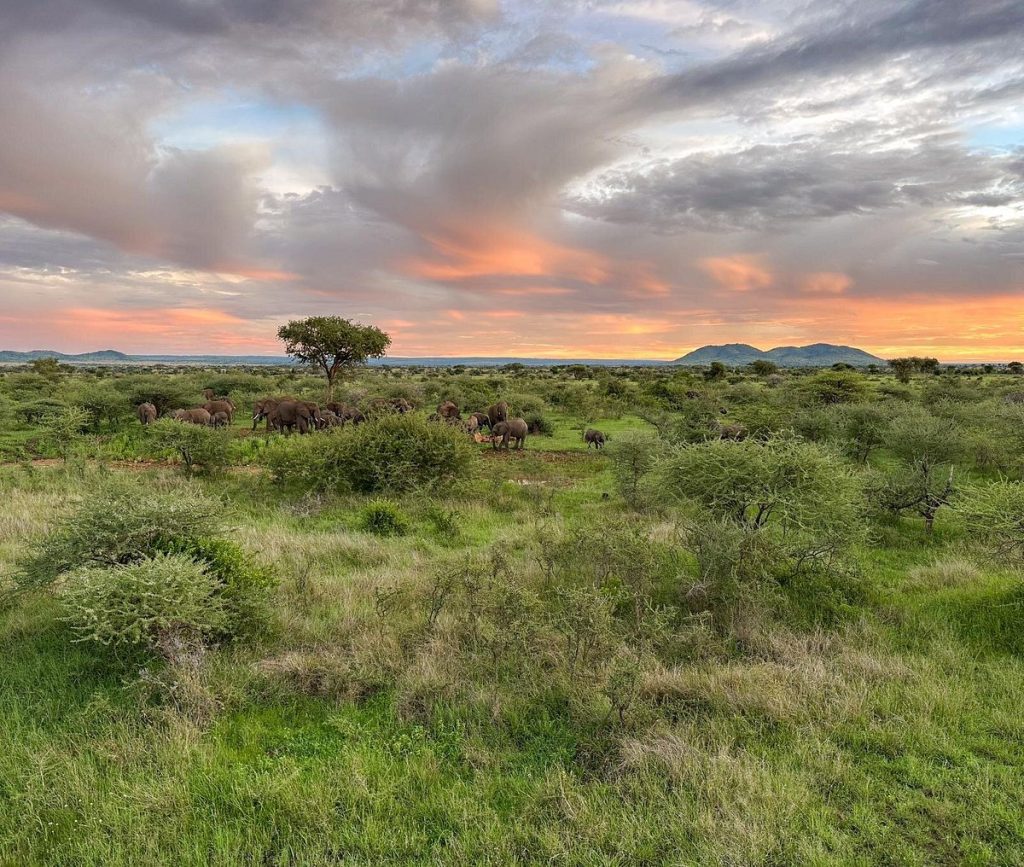 Kuoom Serengeti Camp