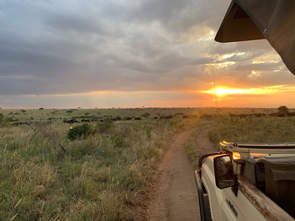Lemala Nanyukie Lodge