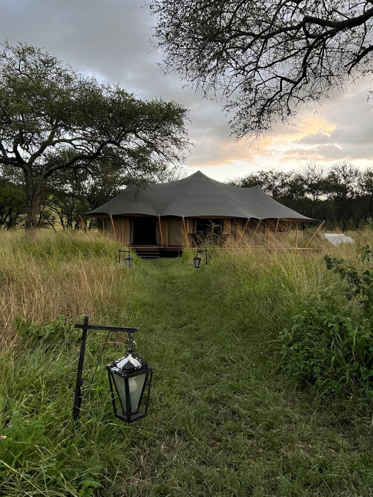 Cherero Camp Serengeti