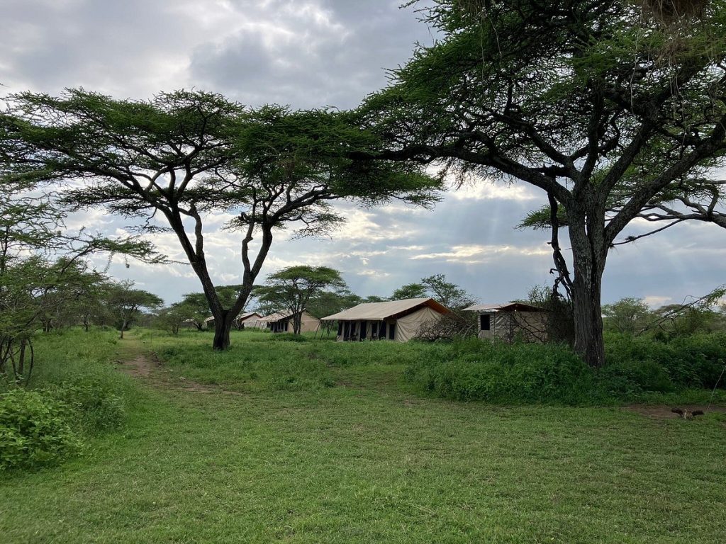Gnu Mara Migration Camp