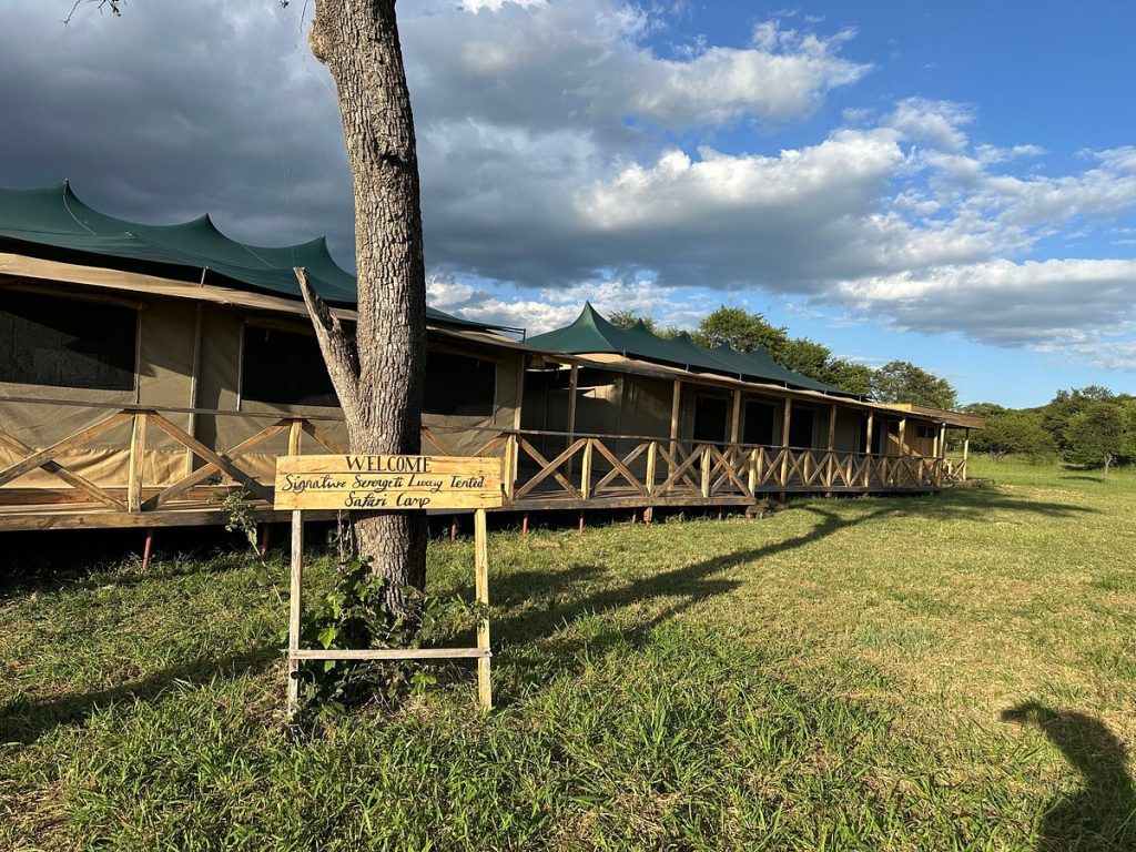 Into Wild Africa Camp