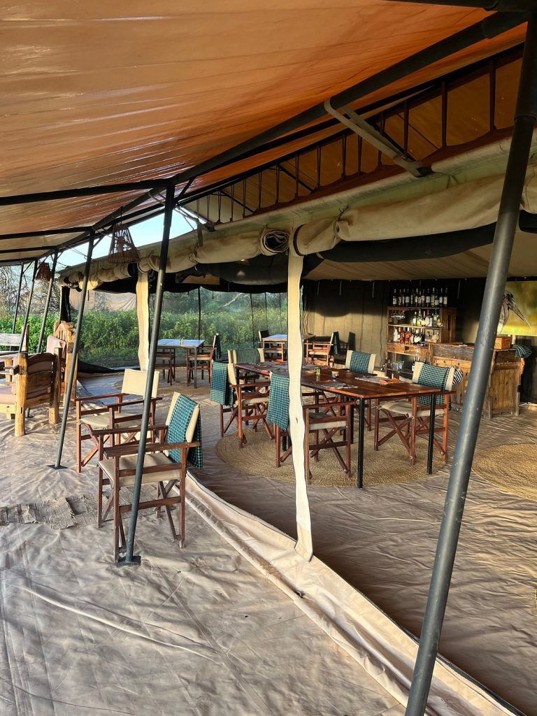 Gnu Ndutu Camp