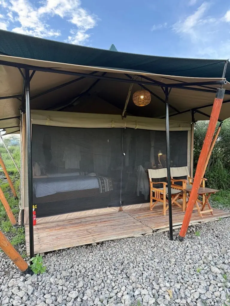 Untamed Migration Camp