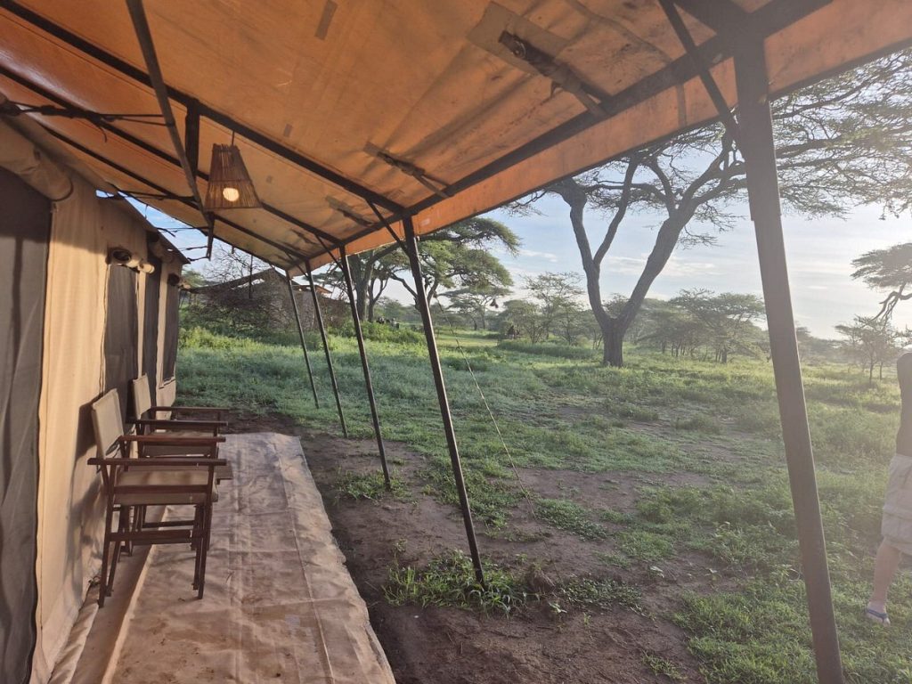 Gnu Mara Migration Camp