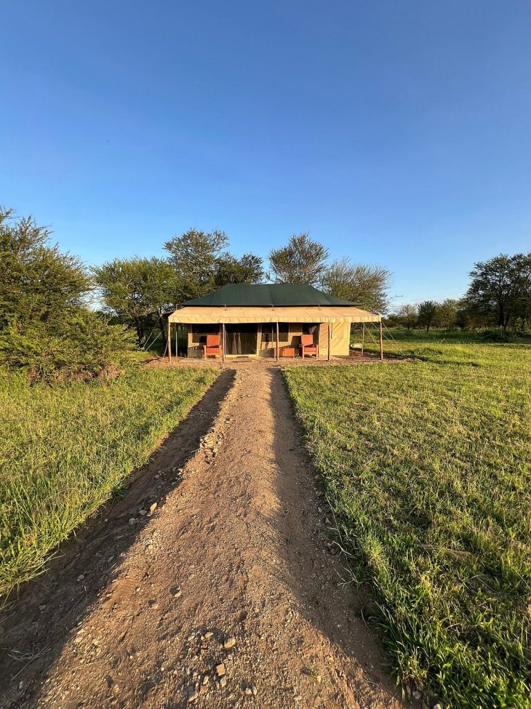 Into Wild Africa Camp