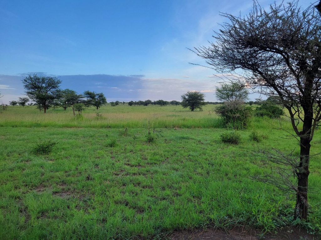 Embalakai Camps Serengeti