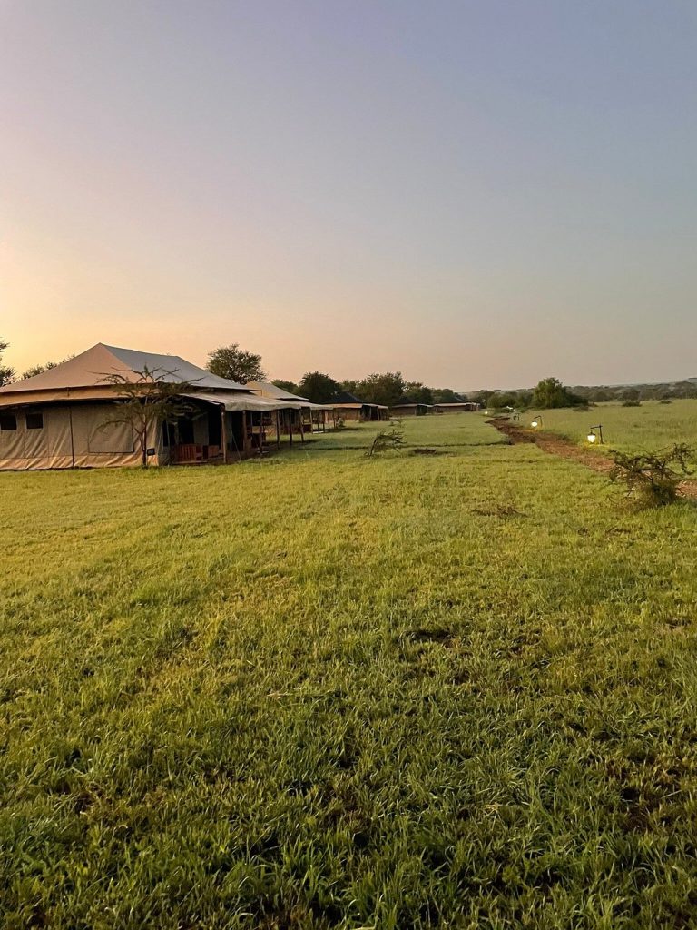 Into Wild Africa Camp