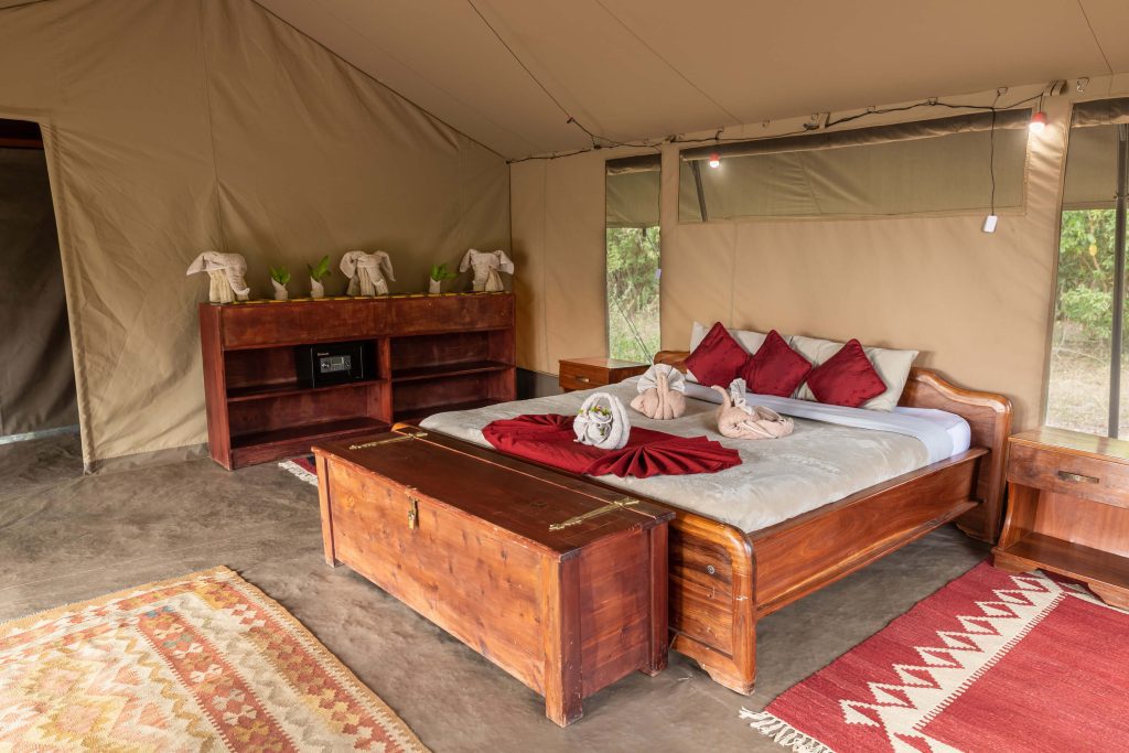 Hammerkop Migration Camp