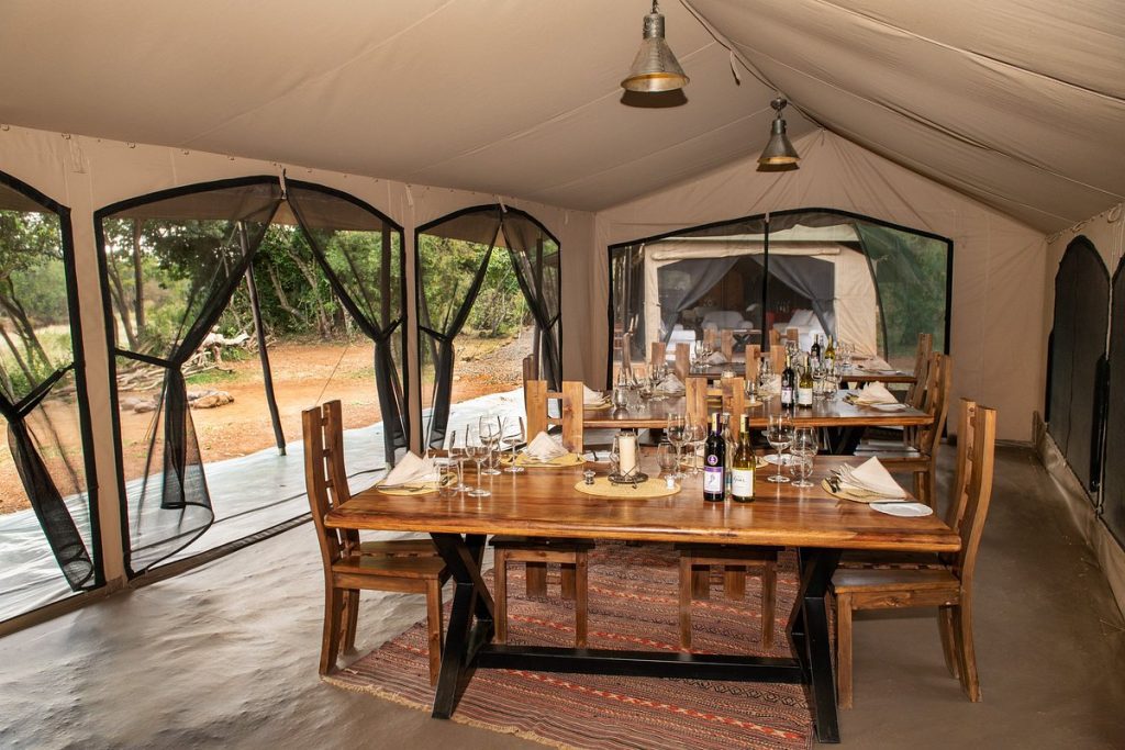 Hammerkop Migration Camp