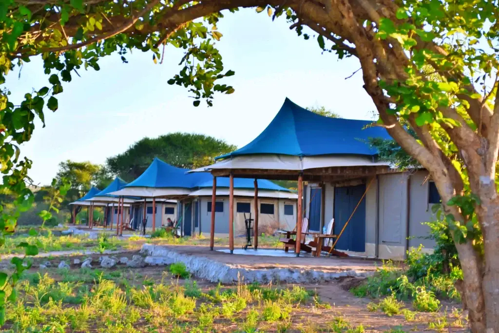 Serengeti Tanzania Bush Camp