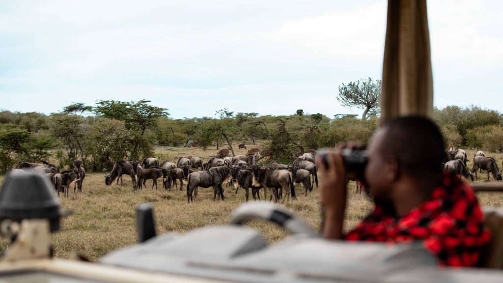 Mahali Mzuri Camp
